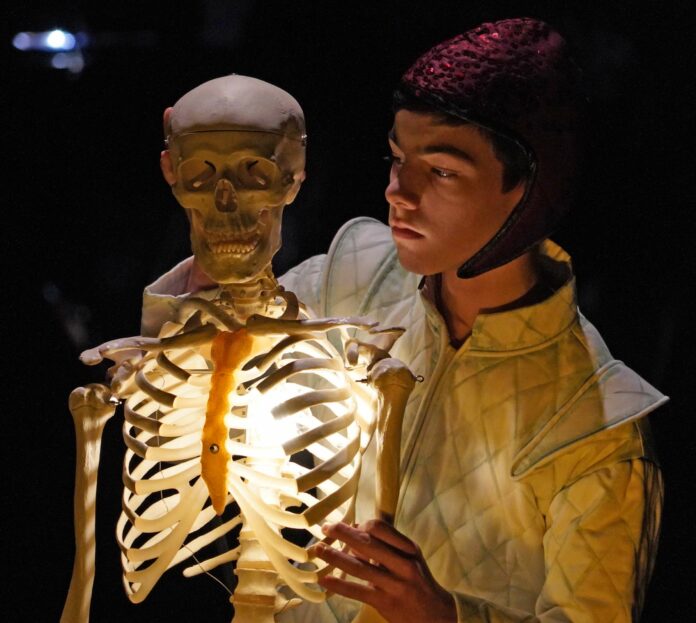 MARTIN SQUELETTE25_TJP003©CREA_CB