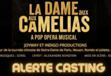 Casting pour La Dame aux camélias (tournée en Chine)