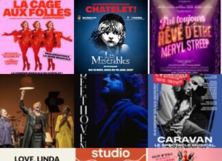 Les spectacles musicaux en novembre : les nouveautés et des reprises